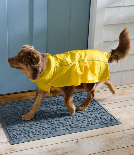 Discovery Dog Rain Jacket | L.L.Bean online