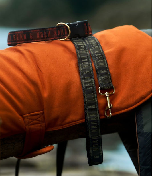 L.L.Bean & Noah Kahan Novelty Dog Collar | L.L.Bean sale