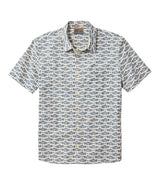 Iron Blue Fish