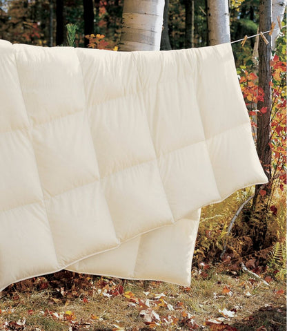 Box-Stitch Goose Down Comforter, Warm | L.L.Bean for sale